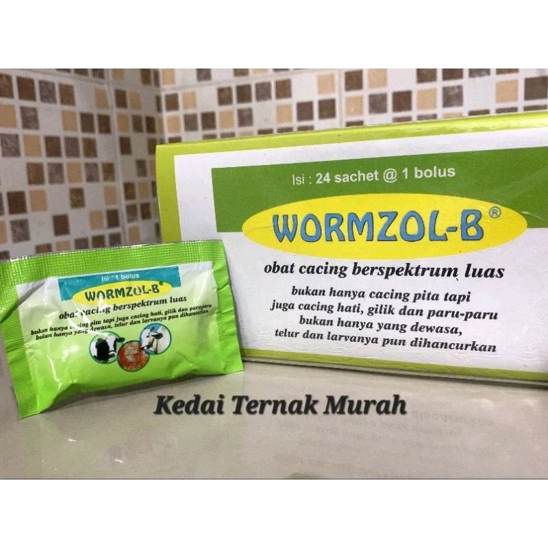 Jual Wormzol B 24 Bolus Obat Cacing Hewan Sapi Kerbau Kuda | Shopee ...