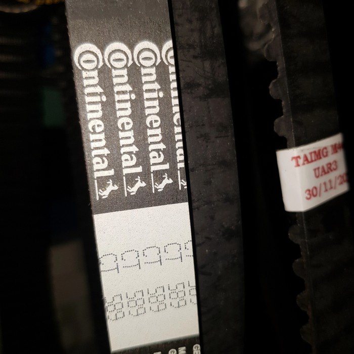 Jual Timing Belt Bmw M40 E30 E36 E34 Shopee Indonesia