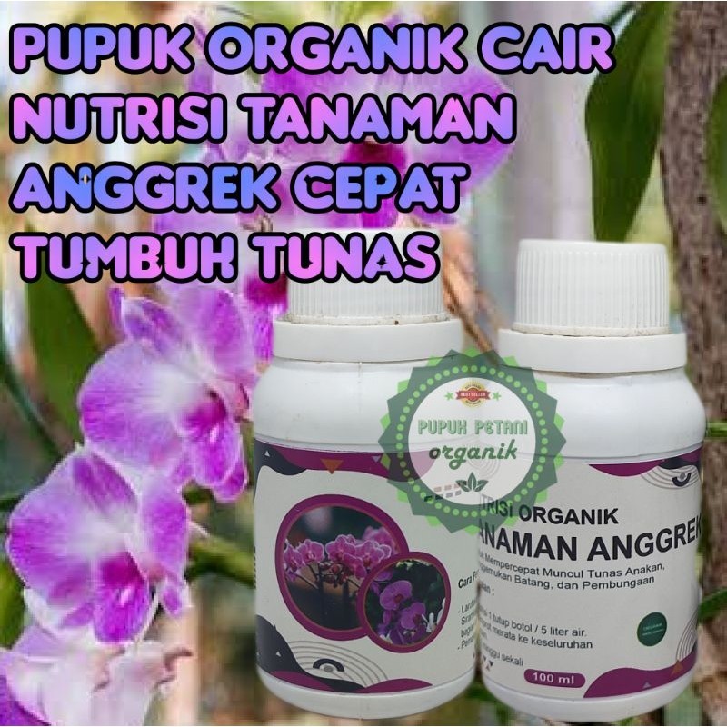 Jual Pupuk Nutrisi Tanaman Anggrek Cepat Tumbuh Tunas Dan Bunga Kemasan ...