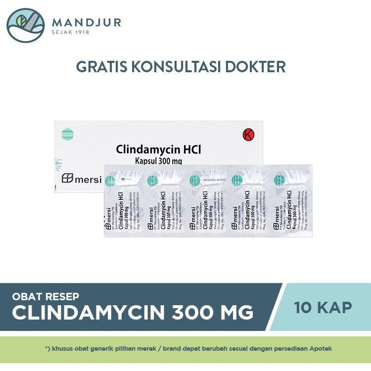 Jual Clindamycin 300 Mg Strip 10 Kapsul | Shopee Indonesia