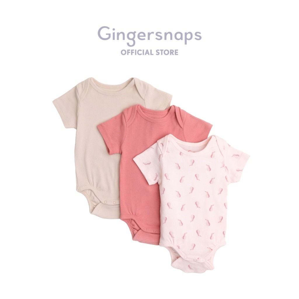 Jual Gingersnaps Garden Breeze Onesies 3pk Set Terusan Bayi Laki Laki