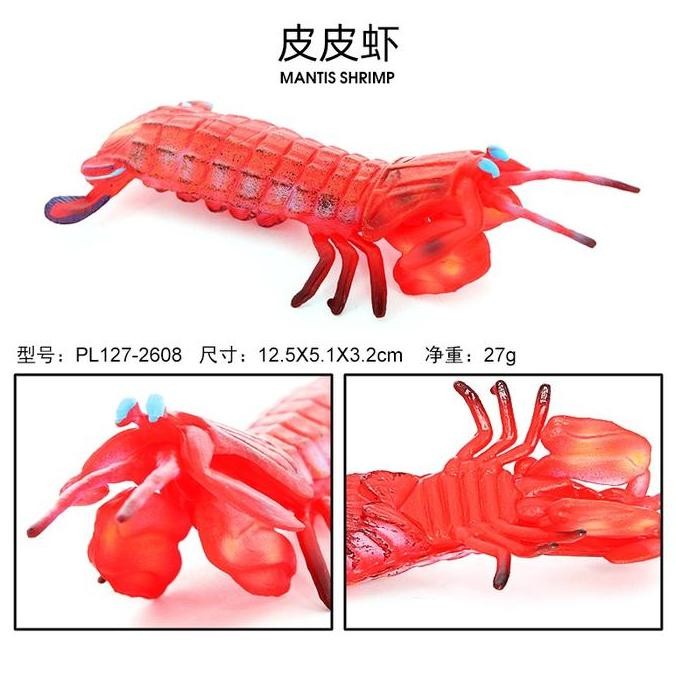 Jual Mainan Hewan Laut Mantis Shrimp / Figure Mantis Shrimp | Shopee ...