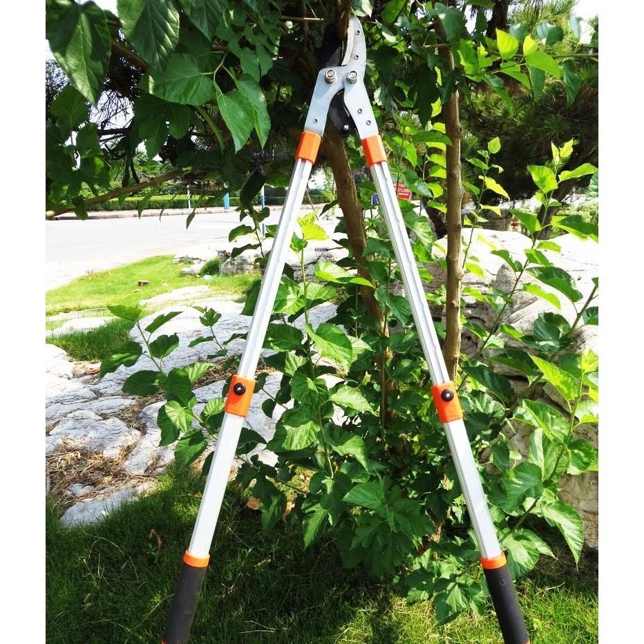 Jual Produk Terbaru !!! Tk-23 Gunting Pemotong Dahan Ranting Pohon ...