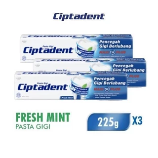 [B2G1] Ciptadent Maxi 12 Plus Jumbo 225Gr