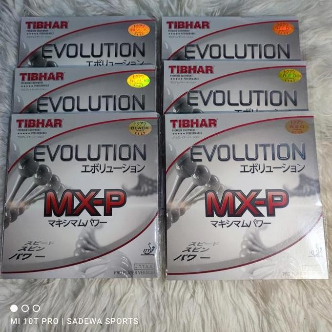 Jual HARGA DISC - KARET PINGPONG TENIS MEJA TIBHAR EVOLUTION MXP/ MX-P ...