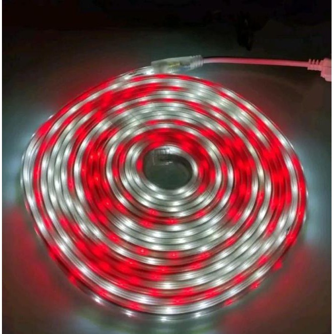 Jual Lampu Led Strip Selang RGB 2835 3528 SMD Rope Light 10M Merah ...