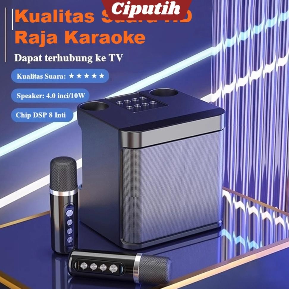 Jual DISKON Speaker bluetooth karaoke 203 Bluetooth Speaker 2 MIC HD