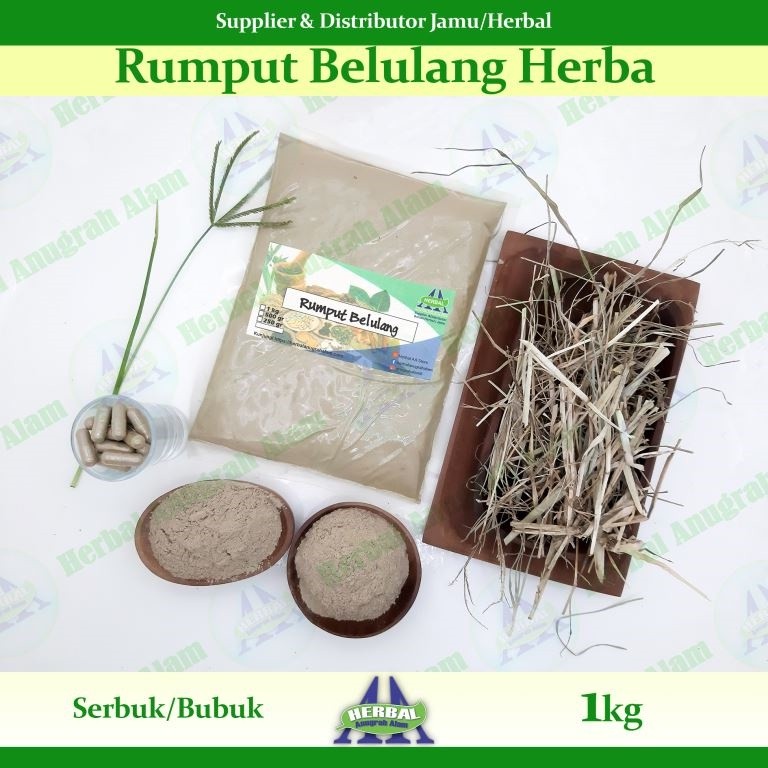 Jual Herba Rumput Belulang (Bubuk) 1Kg | Eleusine Indica | Lulangan ...