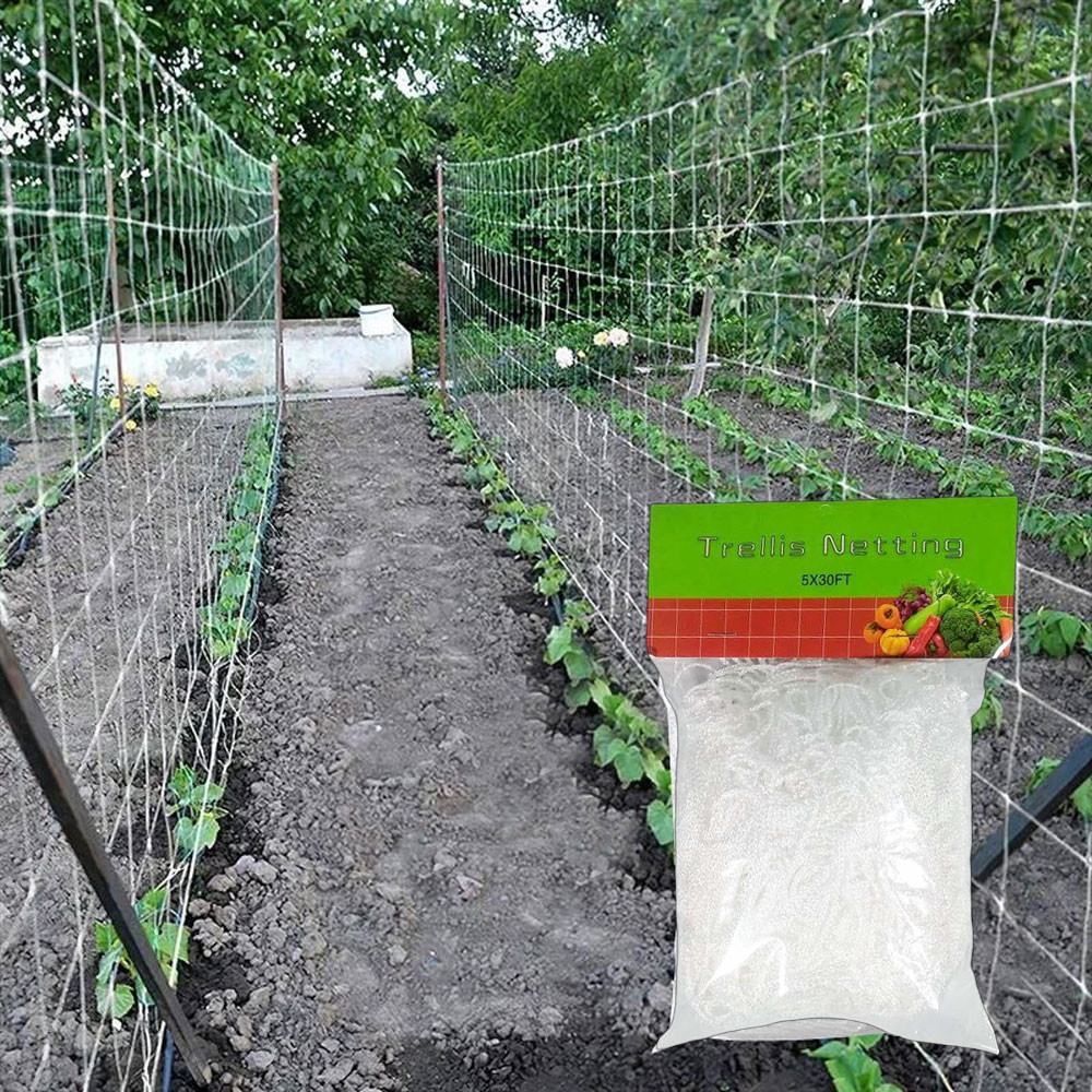 Jual SEZENY Jaring Tanaman Rambat Plants Climbing Net Polyester 1 ...