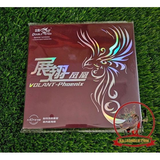 Jual Double Fish Volant Phoenix - Karet Bet Bat Pingpong | Shopee Indonesia