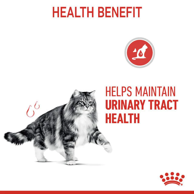 Winky Cat Food Tuna
