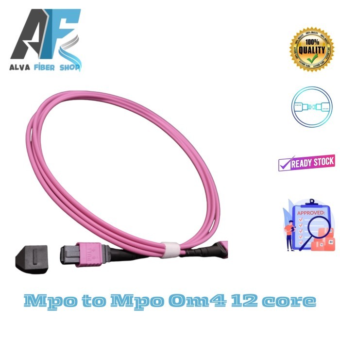 Câble Fibre Optique 10Gb 40Gb 100Gb MPO Femelle OM4 12 Brins Type A