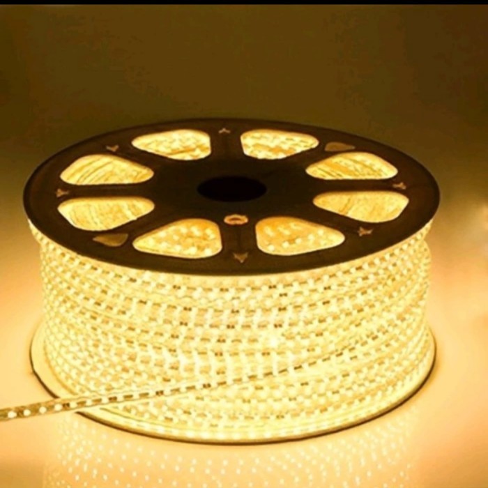 Jual HARGA DISC - Led strip 5050 Outdoor Dan Indoor Roll 1 Roll 100 ...