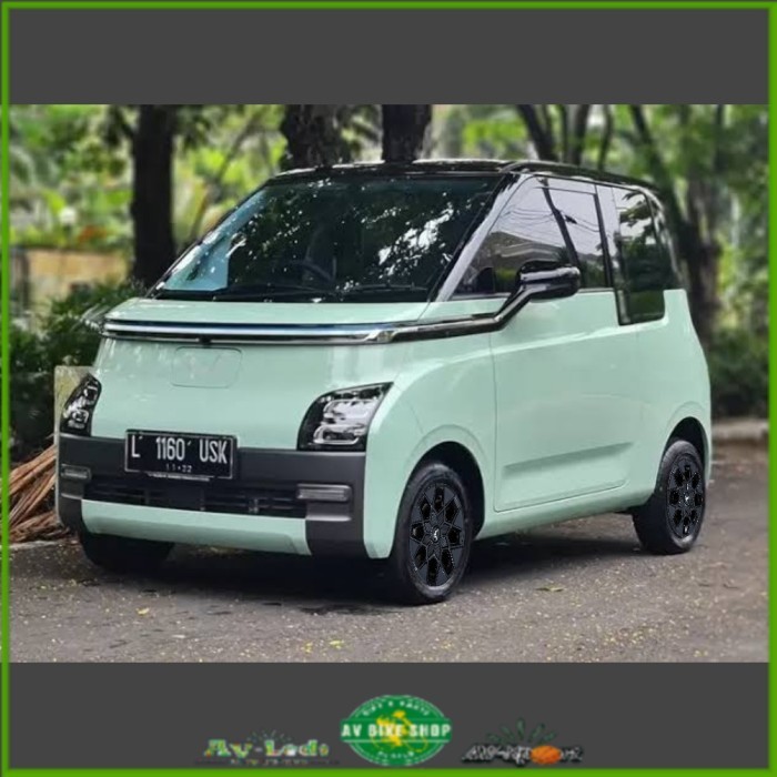 Jual Dop Cover Velg 12 inch Wuling Air EV Dop Velg 12 inch | Shopee ...