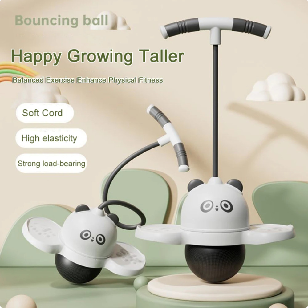 Jual Mainan Bola Jumping Balance Ball Panda with Air Tank GG032 ...