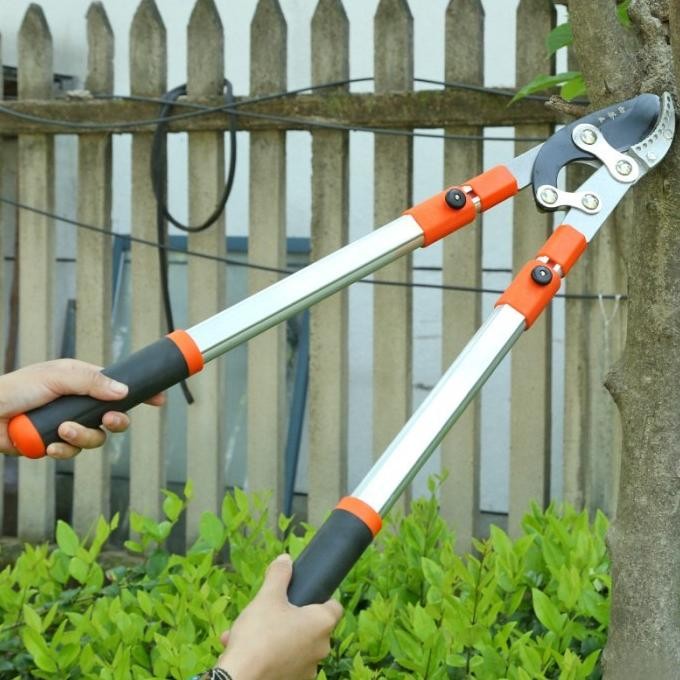 Jual Pertukangan Gunting Taman Gagang Panjang Potong Dahan Pruning ...
