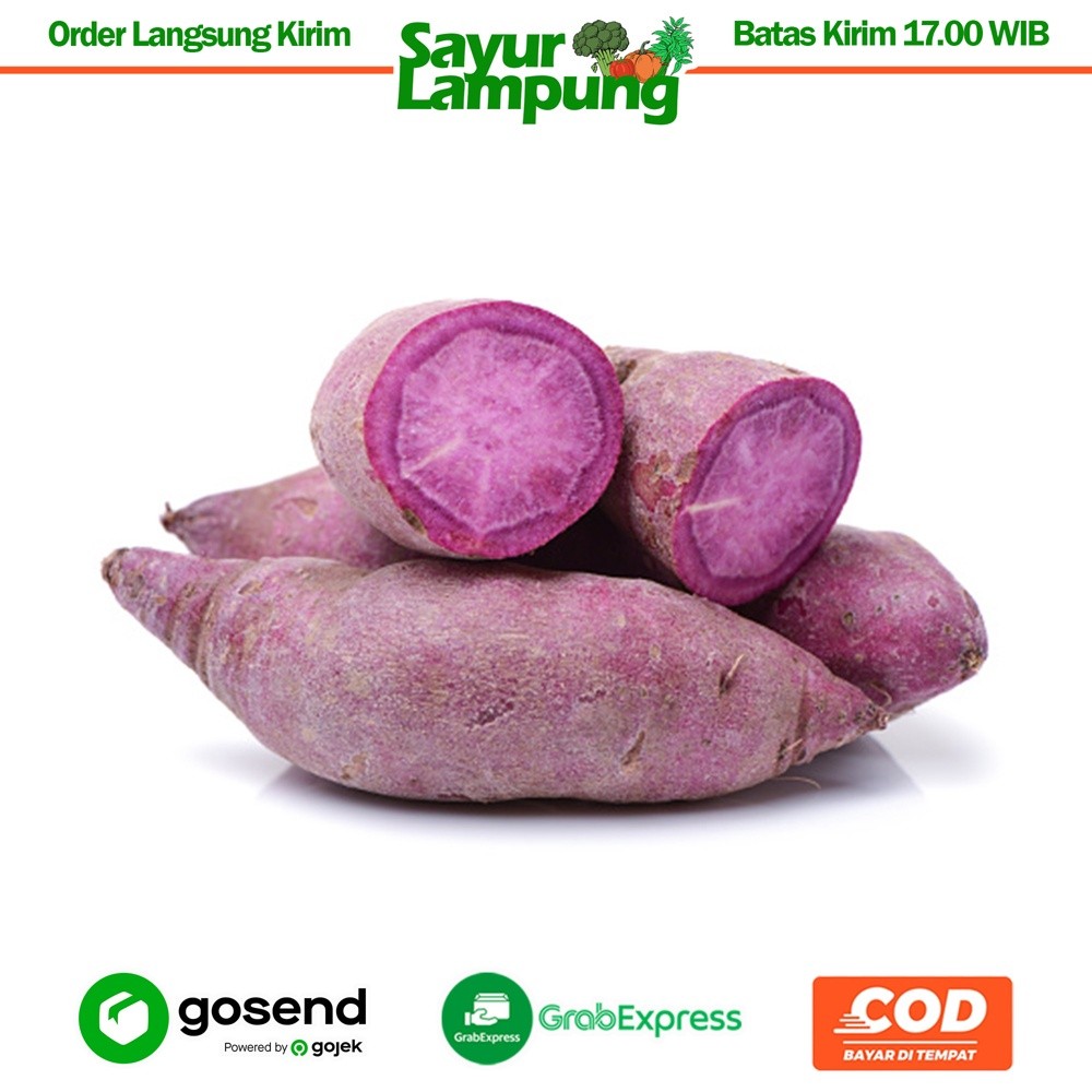 Jual Mantang/Ubi Ungu 1 Kg - Sayur Lampung | Shopee Indonesia