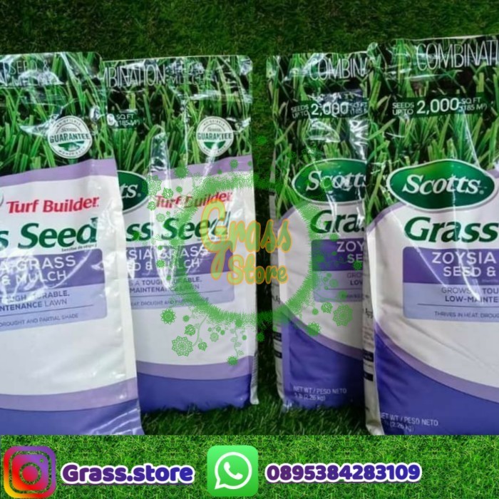 Jual Benih Biji Rumput Zoysia Japonica Lapangan Sepakbola Internasional Gratisongkir Shopee