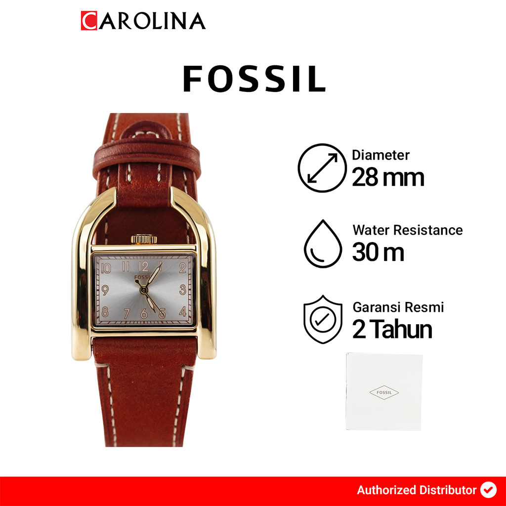 Jual Jam Tangan Wanita FOSSIL Harwell ES5264 Silver Dial Brown Leather ...