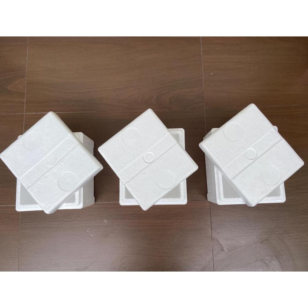 Jual Produk Baru Styrofoam Box Mini 20,5 X 18 X 15Cm - Box Foam - Box ...