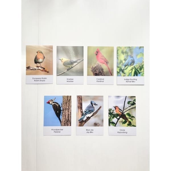 Jual Safari Ltd Toobs Backyard Birds | Shopee Indonesia