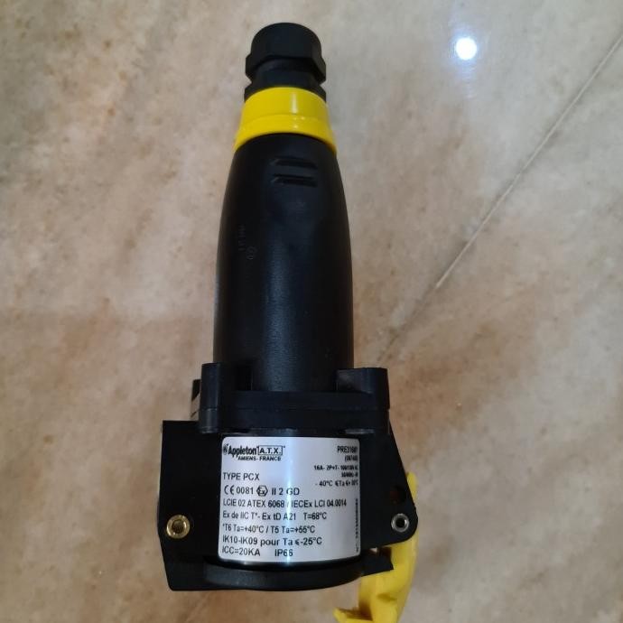 Jual [ R.A.B ] Appleton Receptacle 16A 2P+T Mobile Socket 100V 130V ...