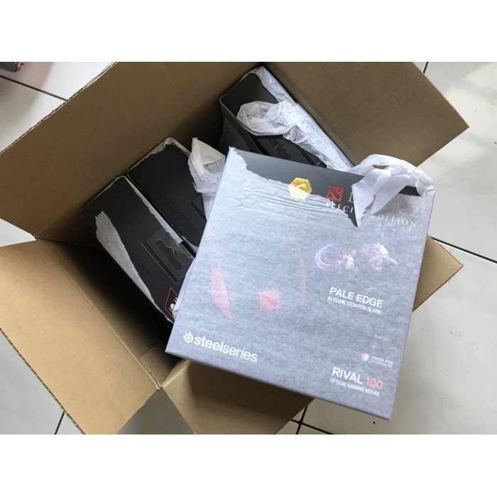 Jual Steelseries Rival 100 Dota 2 Ingame Item Pale Edge | Shopee Indonesia