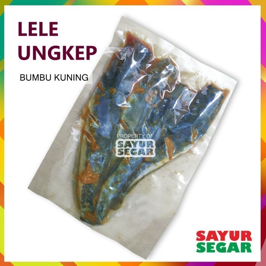 Jual LELE BUMBU KUNING - LELE UNGKEP MENTAH [1 Pack] | Shopee Indonesia