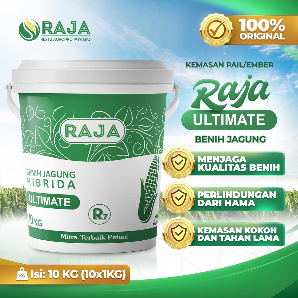 Jual Benih Jagung RAJA R7 Ultimate - 10kg Kemasan Pail/Ember | Shopee ...