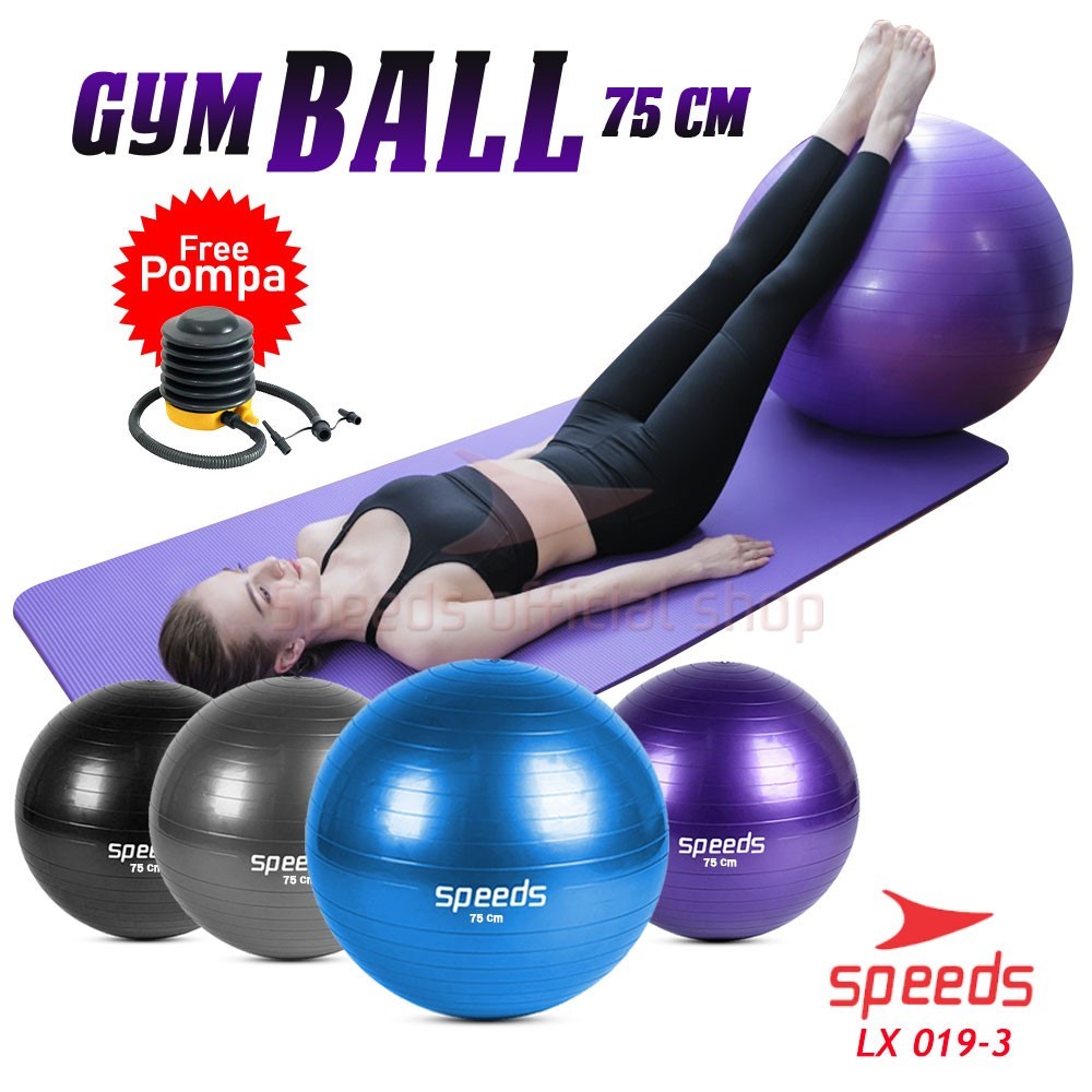 75 Cm Fitness Ball 65 Pro Series Exercise Ball, Pump Included