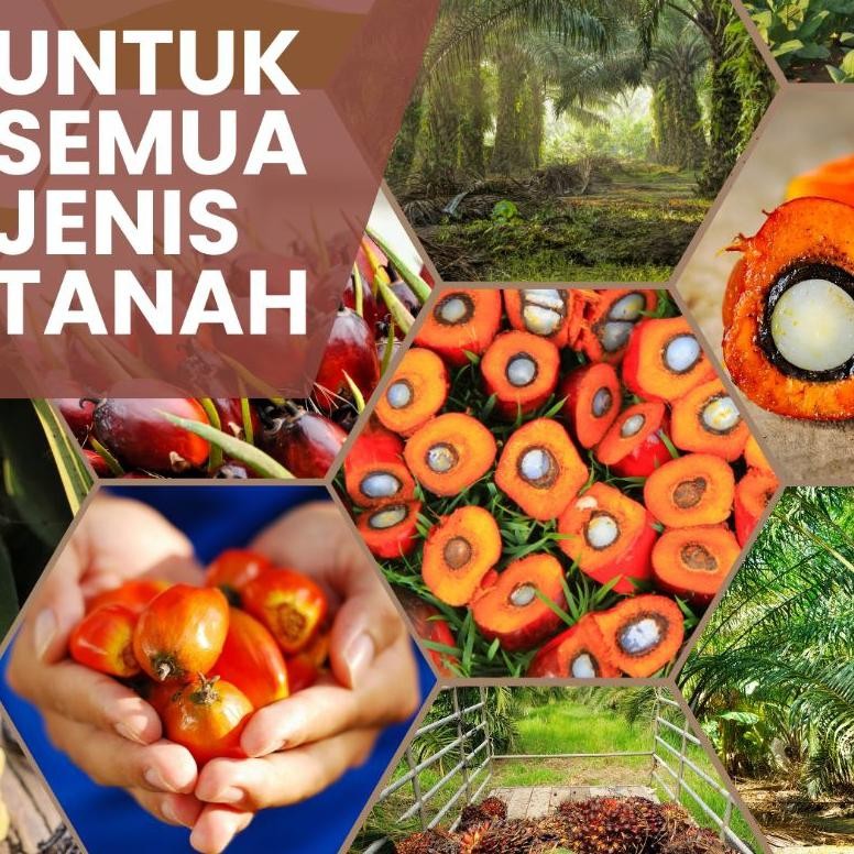 Jual Pupuk Organik Kelapa Sawit Agar Berbuah Lebat Anti Busu…
