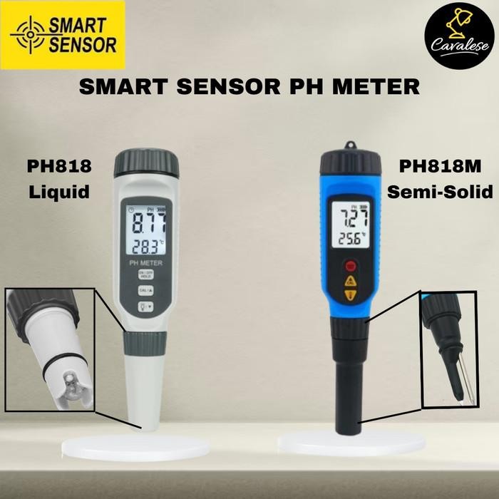 Jual Smart Sensor Ph Meter + Temperature Meter Easy To Use Portable ...