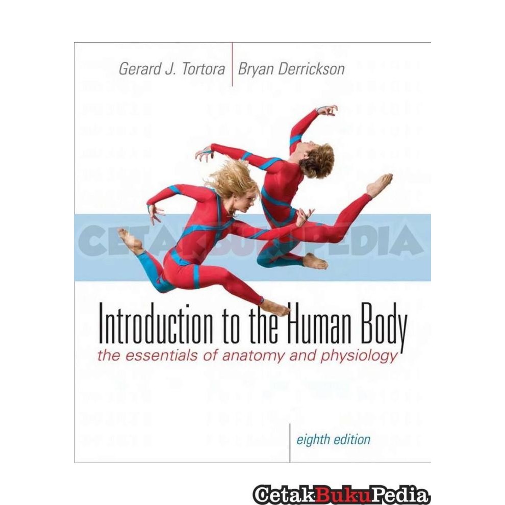 Jual Book Introduction Human Body Essentials Anatomy Physiology ...