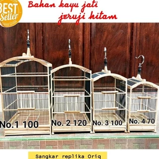 Biseksual bokira qizlar