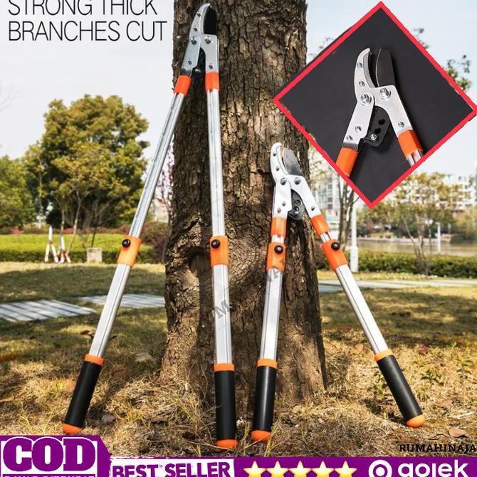 Jual HARGA DISC - Gunting Pohon Dahan Ranting Taman Telescopic Gagang ...