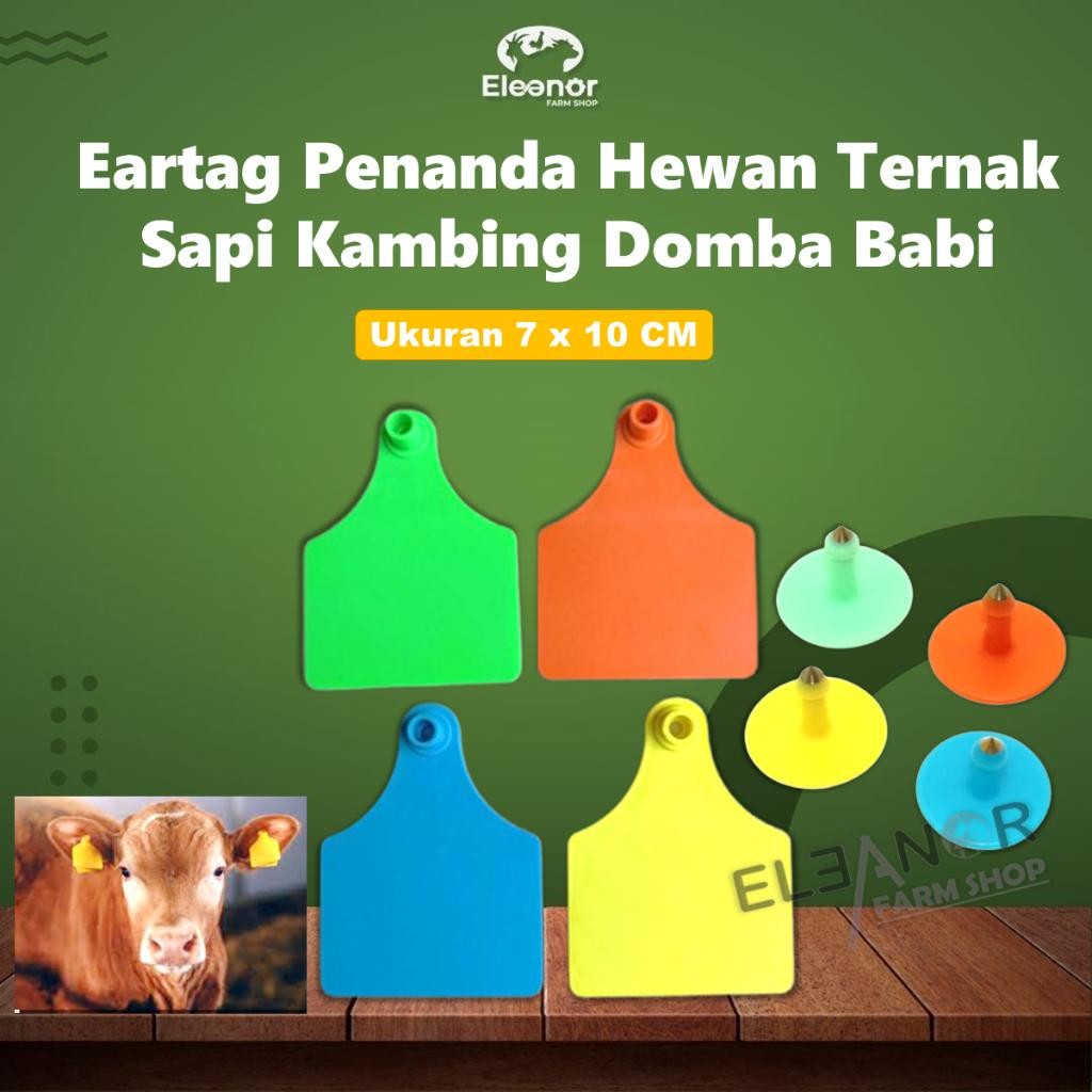 Jual Eartag Sapi Ukuran 7 x 10 Cm Ear Tag Polos untuk Sapi Kerbau ...