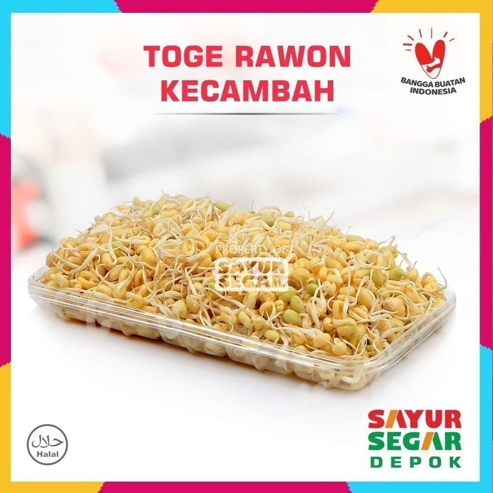 Jual Toge Kecambah Rawon / Toge Kecil | Shopee Indonesia