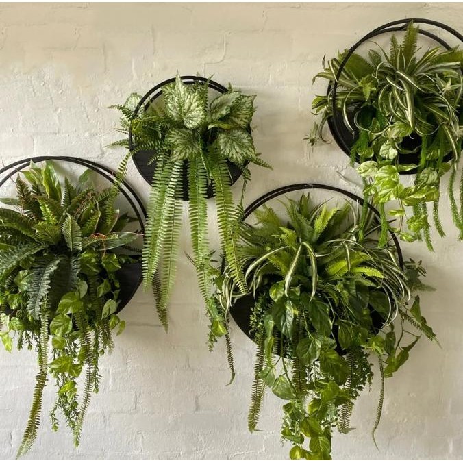 Jual Wall Planter Half Moon Rak Besi Tanaman Dinding, Dekorasi Estetik ...