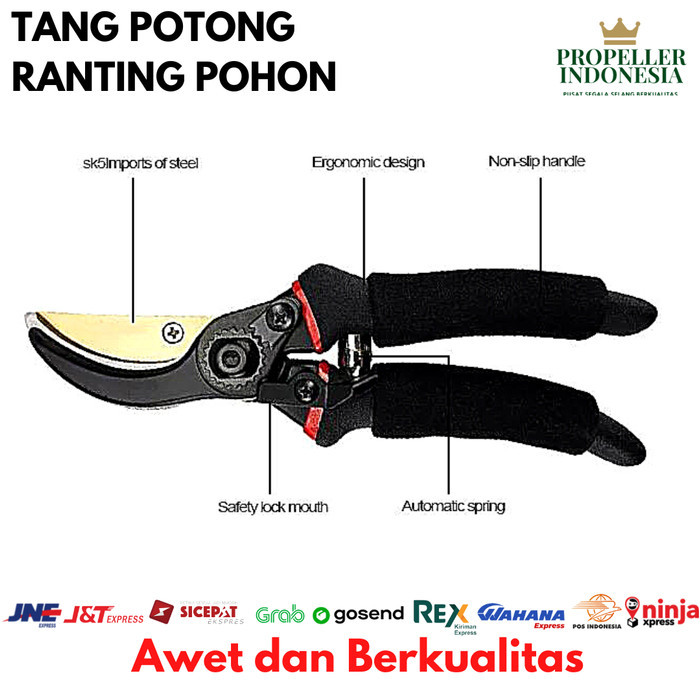 Jual EKSLUSIF DAHAN RANTING POHON BUAH BERCABANG TEBAL TANAMAN KEBUN ...