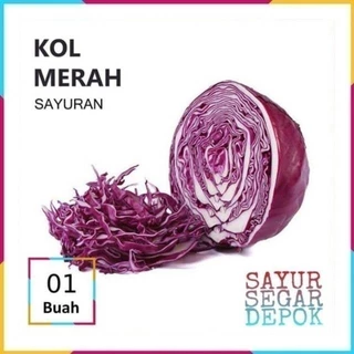 Jual kubis merah Harga Terbaik & Termurah April 2025