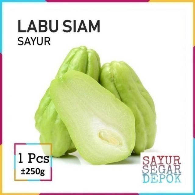 Jual LABU SIAM | Shopee Indonesia