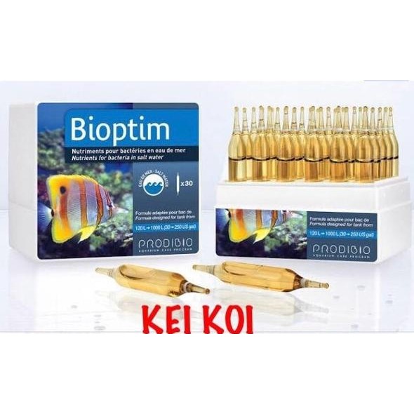 Jual (Expert) PRODIBIO BIODIGEST 15 VIALS + PRODIBIO BIOPTIM 15 VIALS ...