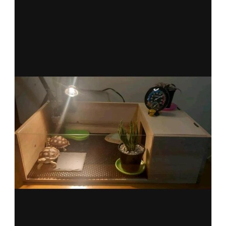 Jual Kandang Kura Kura Kayu Pinus / Torto Table / Tortoise Rack ...