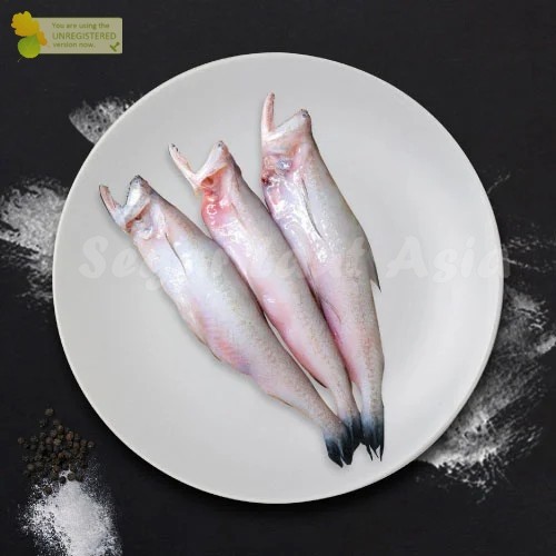 Jual Ikan Lome Segar 1Kg Ikan Lomek Ikan Lume Seafood Ikan Segar Ikan ...