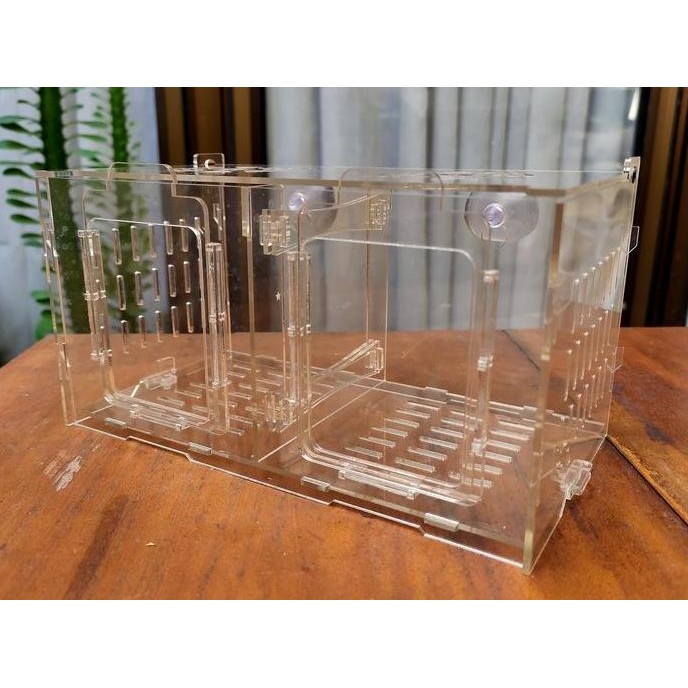 Jual BOX KARANTINA IKAN | BOX ISOLASI | BOX AKLAMASI | B | KNOCK DOWN ...