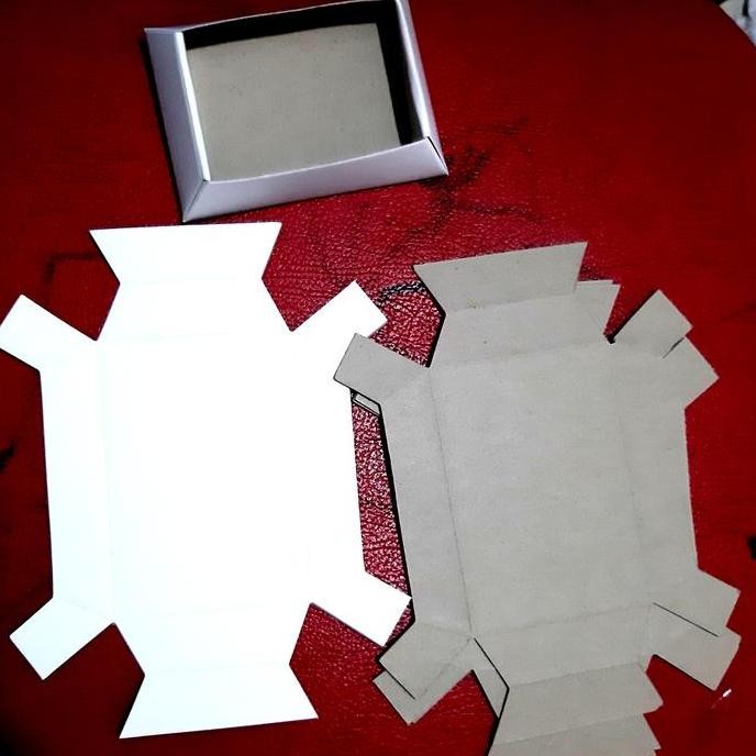 Jual Produk Terbaik] Traysbait Polos Alas Umpan Racun Tikus dan Alas ...