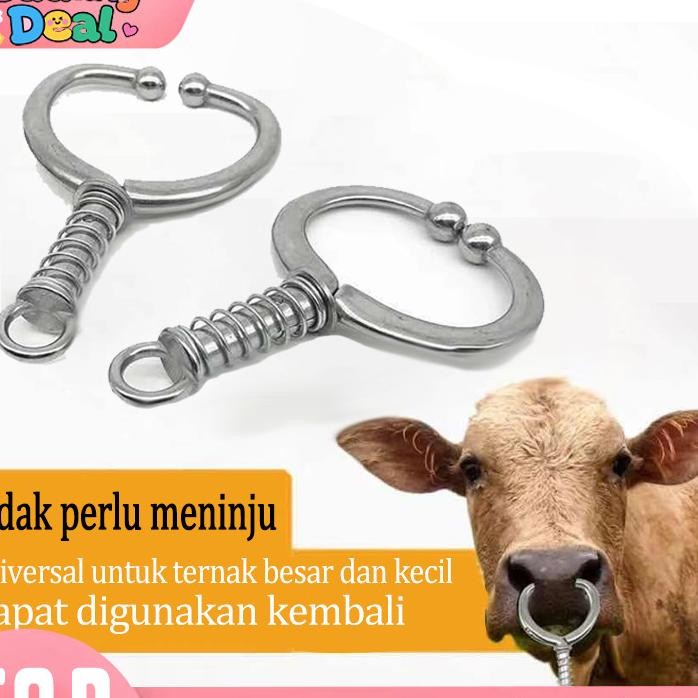 Jual Bull Ring Bahan Stainless Steel Banteng Sapi Hidung Cincin Anting ...
