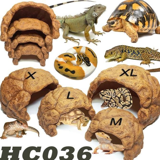 Illustration of Tortoise Hiding Places And Caves