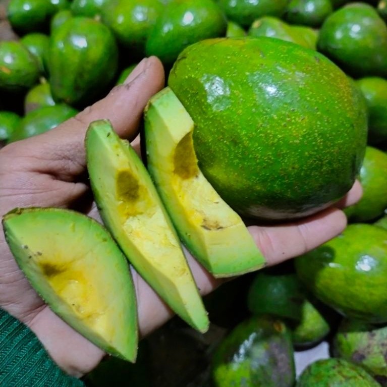 Jual Alpukat Mentega 1 Kg Terlengkap & Harga Terbaru Oktober 2026 ...