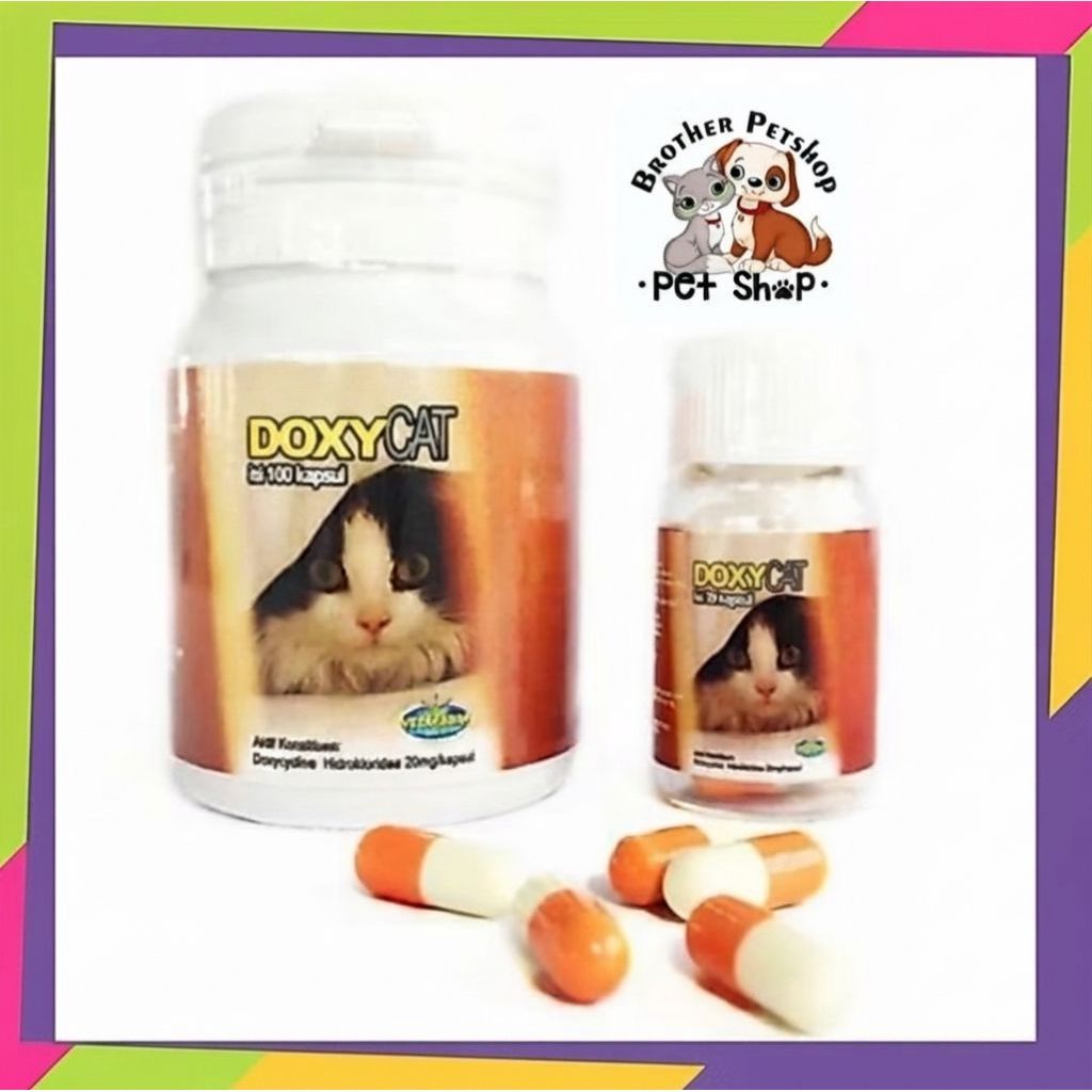 Jual DOXY CAT - Obat Flu 1 Kapsul Ecer Antibiotik Kucing | Shopee Indonesia